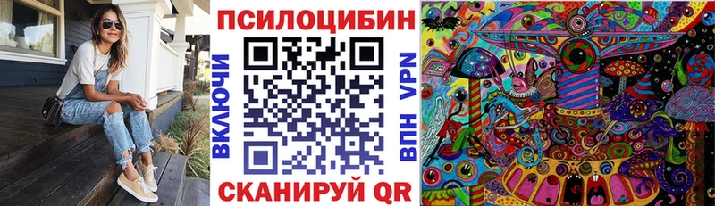 где купить наркоту  Стрежевой  Псилоцибиновые грибы мухоморы 