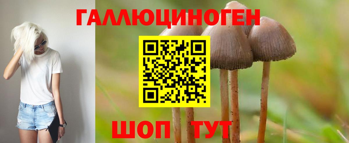 Галлюциногенные грибы GOLDEN TEACHER  Вход с VPN  купить закладку  Стрежевой 